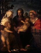Andrea del Sarto Madonna and Child with Sts Catherine, Elisabeth and John the Baptist Sweden oil painting artist
